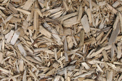 biomass boilers Cardowan